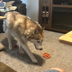 Meet your Posher, Christian